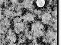 Black and white picture of blanket with blue moon reflecting on metal surfaces